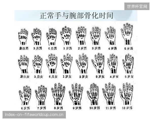 结合骨龄与当前身高，AI预测模型对14岁以下球员成年终身高的预测误差可稳定在±3厘米区间